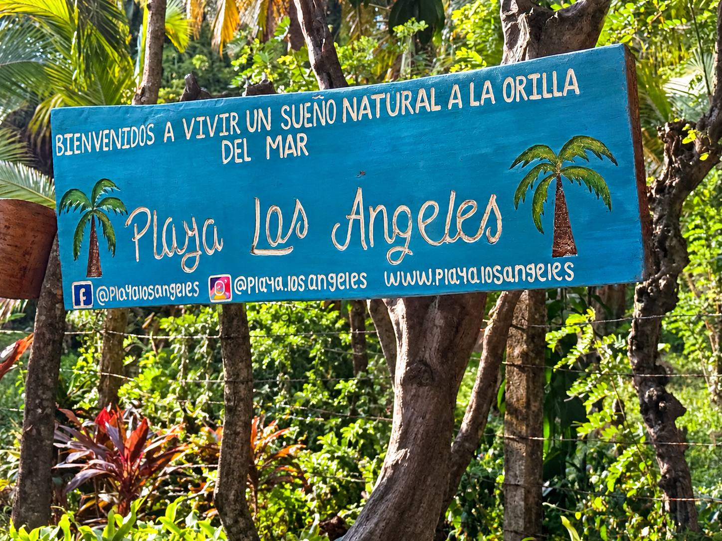 Playa Los Ángeles